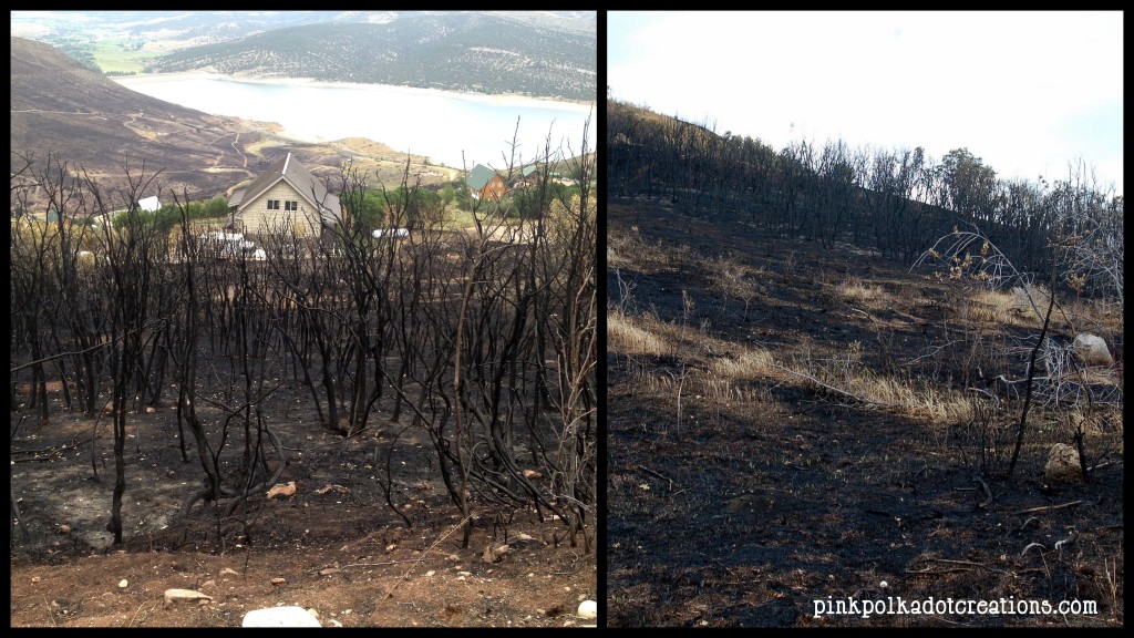 Rockport fire Aug 2013-002