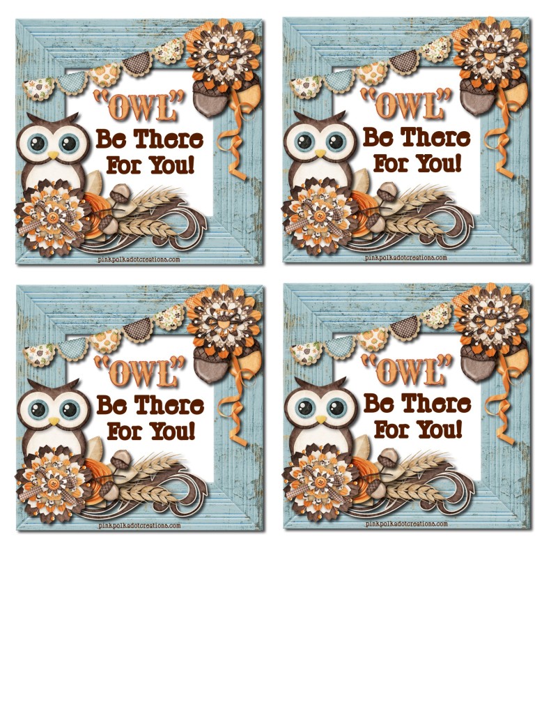 Sept-2013-VT-002-Owl-tags