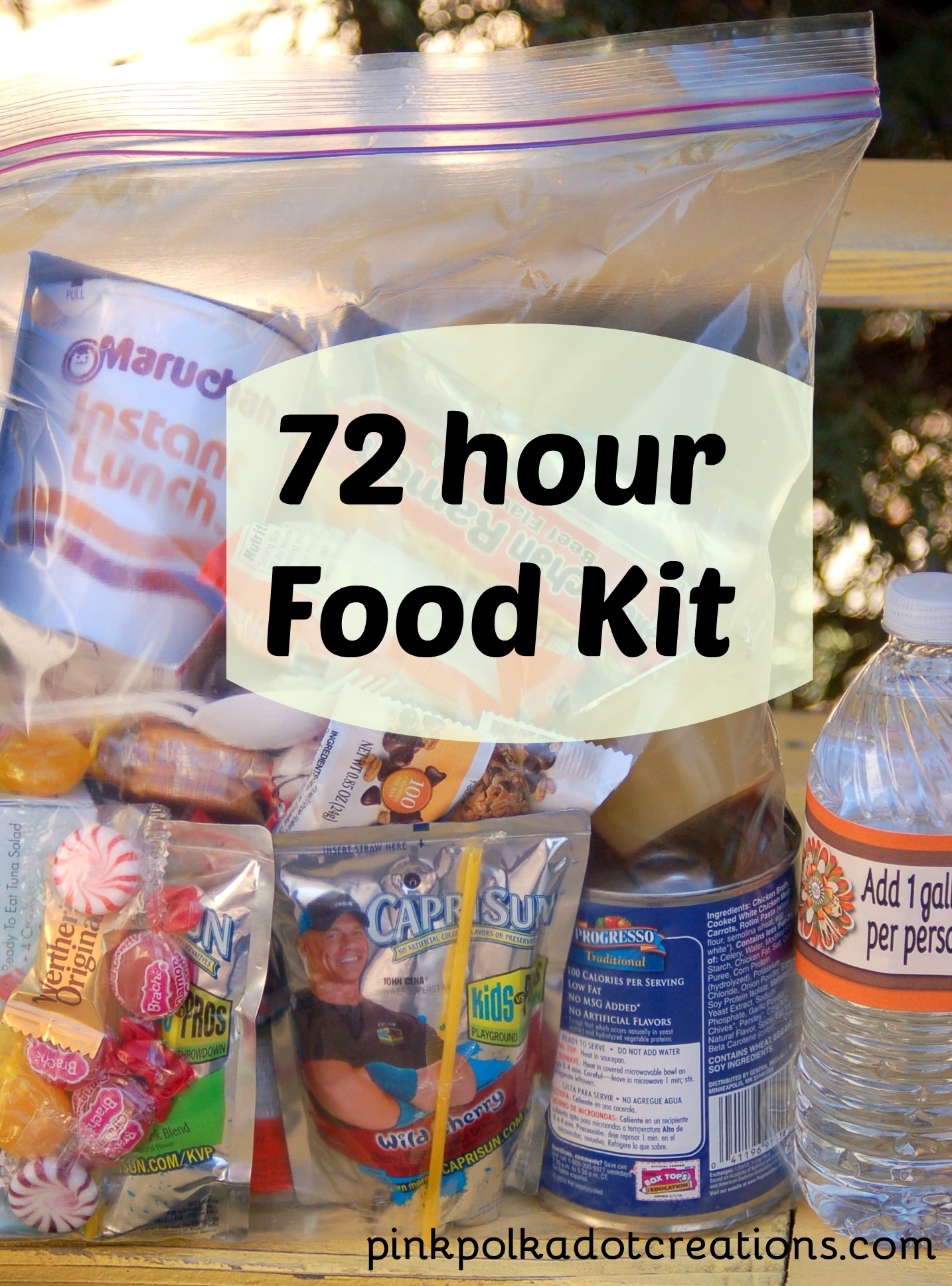 72-Hour Food Kit Sample Pack