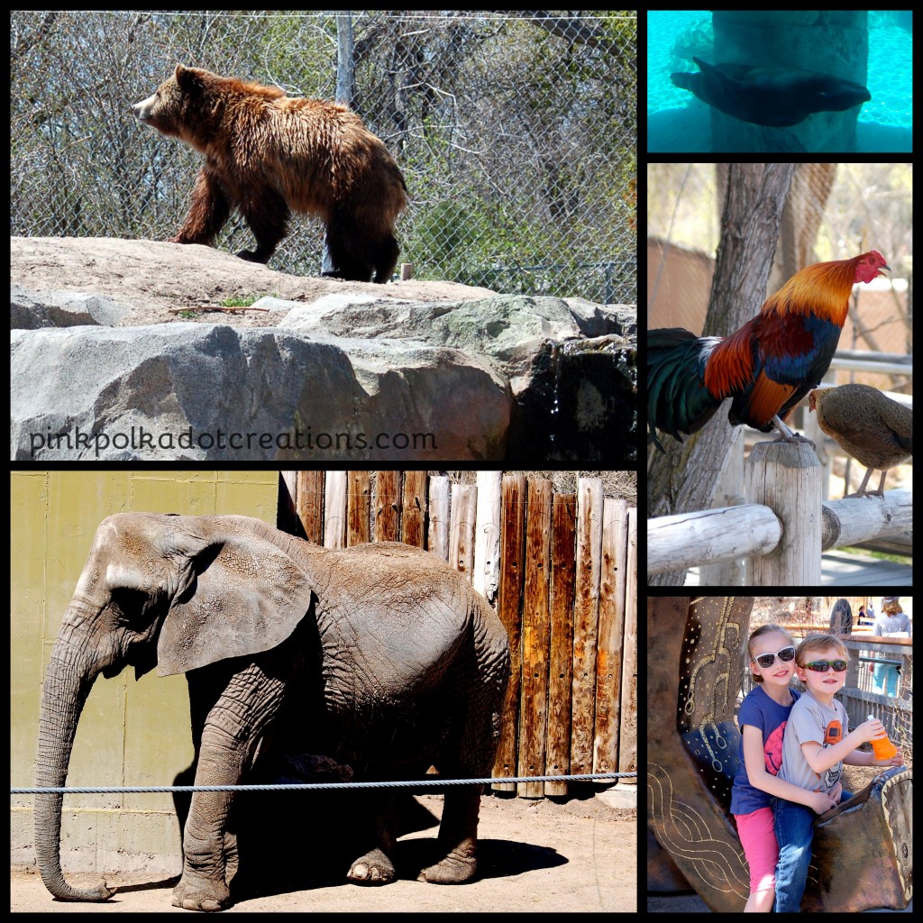 Hogle Zoo-002