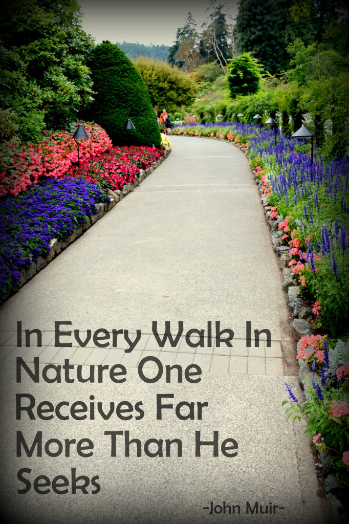 In every walk in Nature