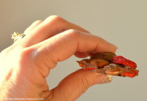 toasted almond strawberry bark
