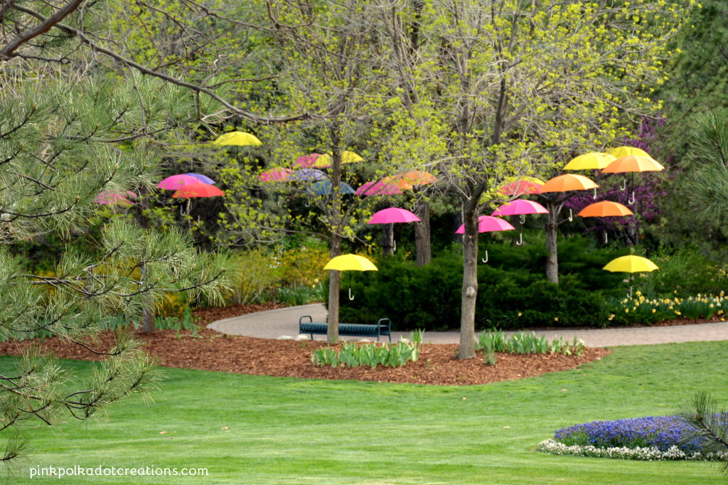 tulip festival 2016