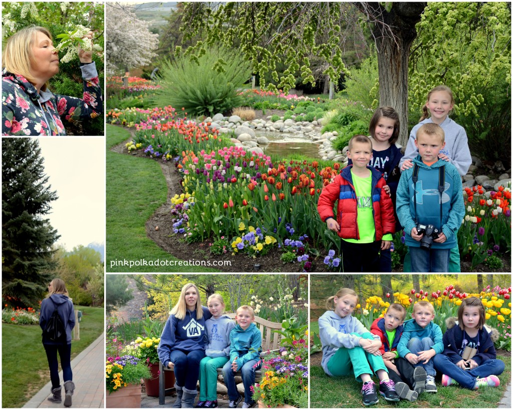 Tulip festival 2016-006