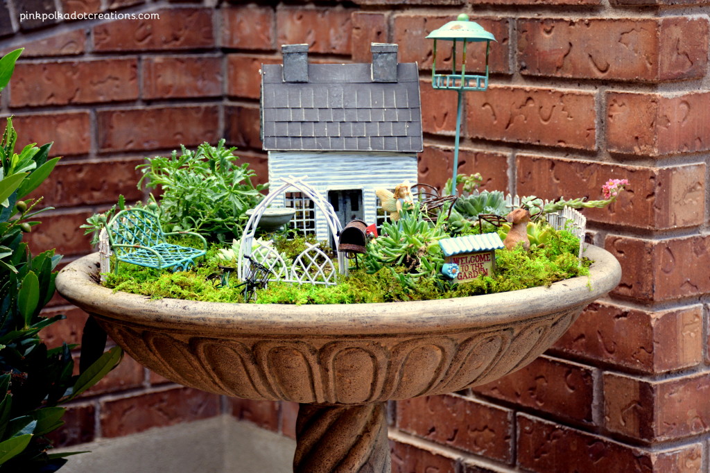 fairy garden