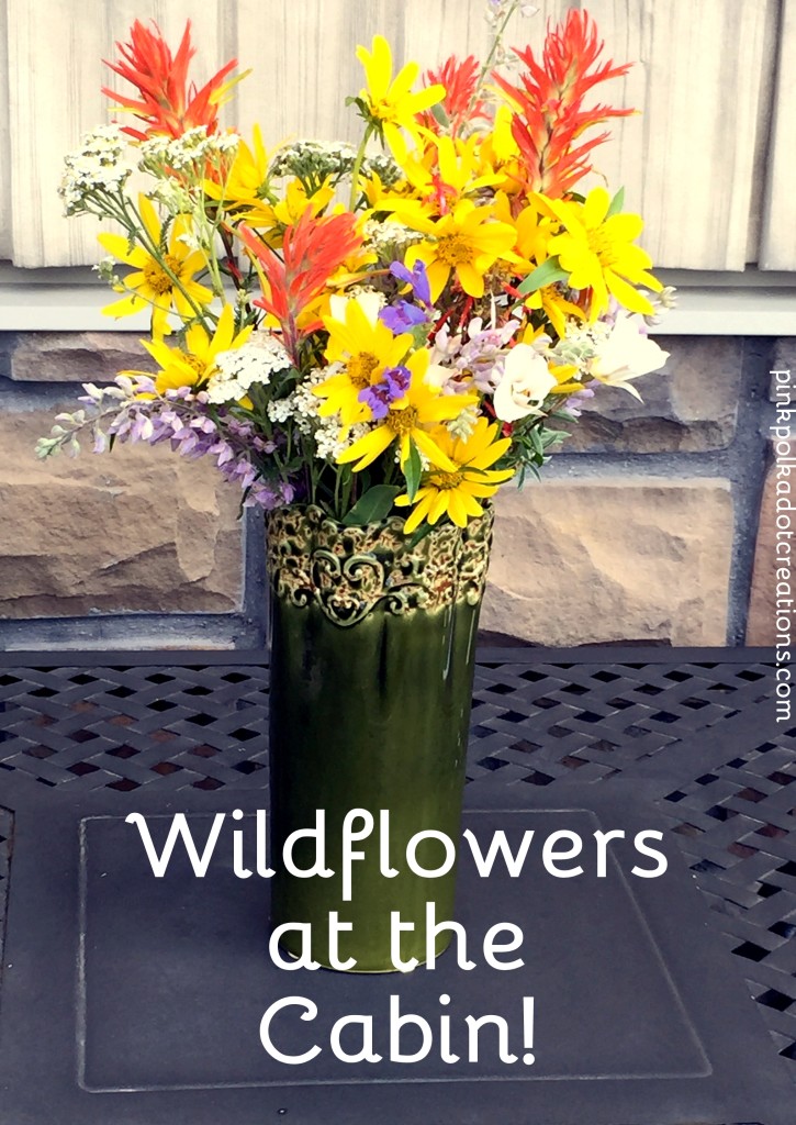 Wildflowers at the cabin