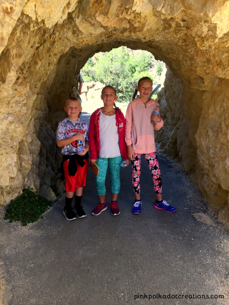 hiking to timpanogos caves