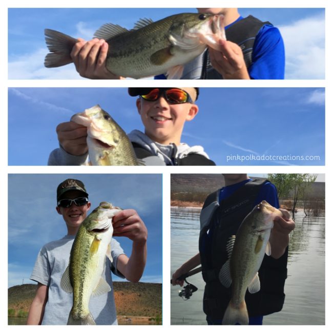 bass fishing trip