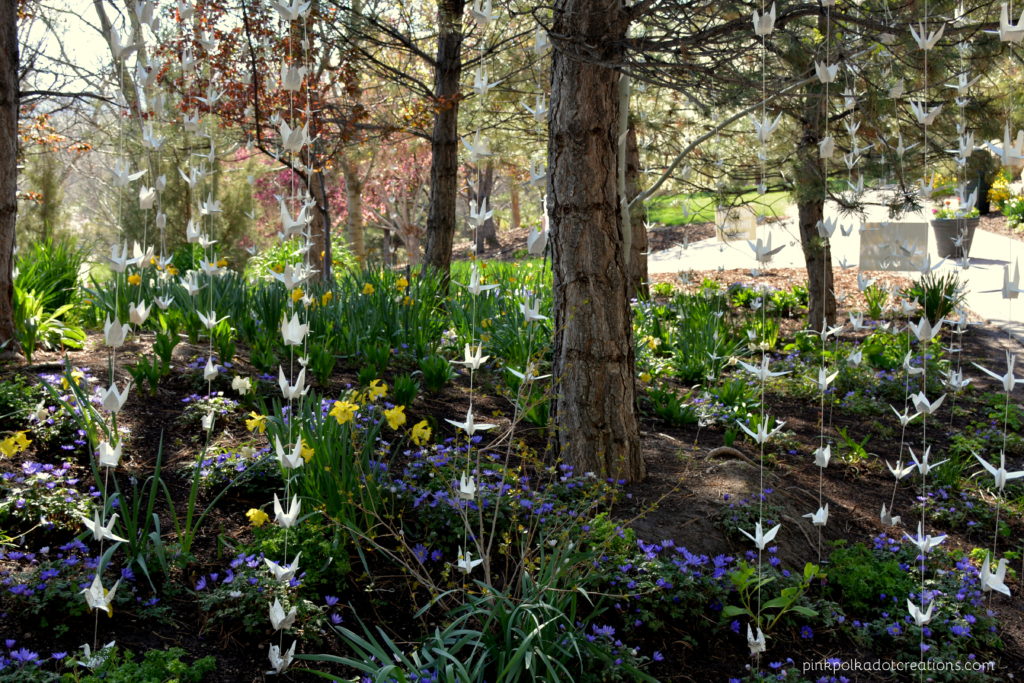 TP tulip festival 2017