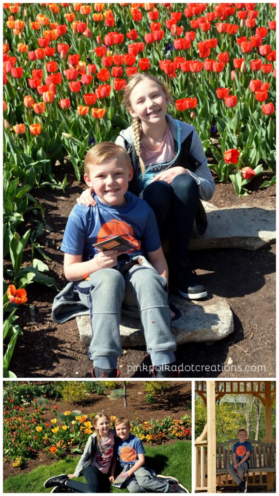 Thanksgiving Point Tulip festival 2017