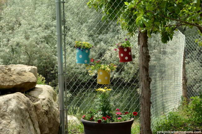 vertical gardening