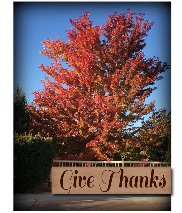 Nov.-2017-VT-handout-007-Give-Thanks