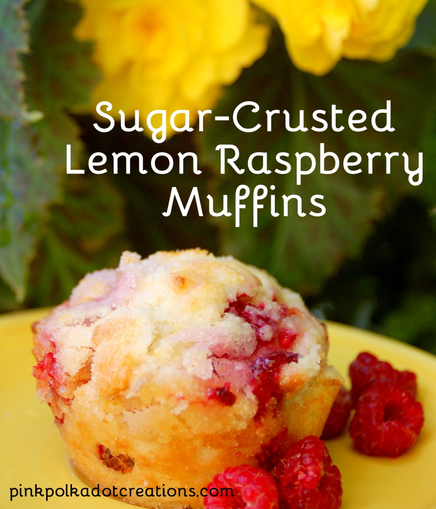 muffin-recipe